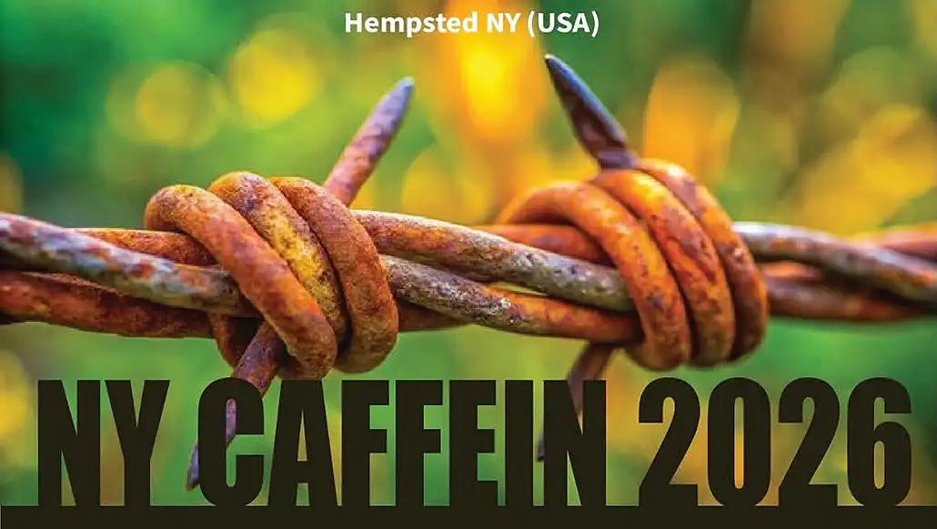 invite-au-festival-international-du-film-centramericain-2026-a-hempstead