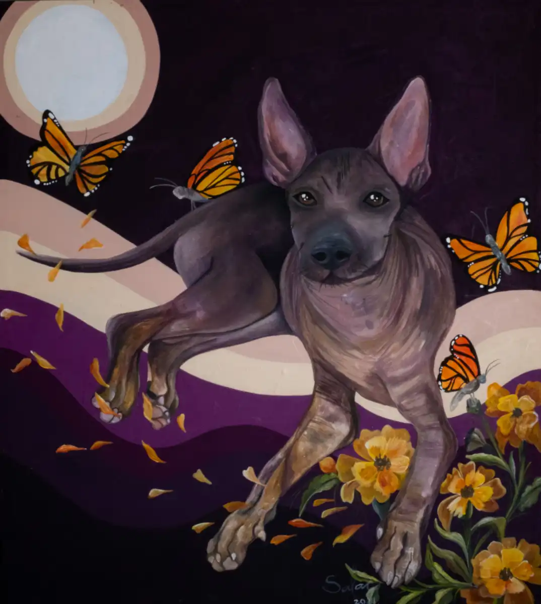 le-xoloitzcuintle-prend-vie-dans-une-nouvelle-exposition-au-dog